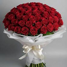 Букет 101 Красная роза Блэк Мэджик в Кандалакше