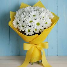 Букет цветов из:  Хризантемы в Кандалакше