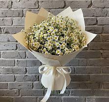 Букет цветов из:  Ромашки в Кандалакше