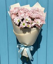 Букет цветов из:  Хризантемы в Кандалакше