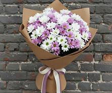 Букет цветов из:  Хризантемы в Кандалакше