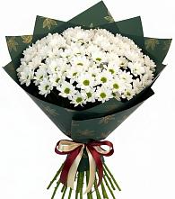 Букет цветов из:  Хризантемы в Кандалакше