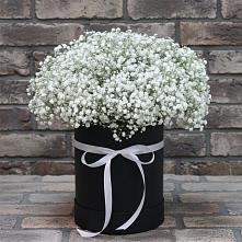 Цветочная композиция из Гипсофила в шляпной коробке #REPLACE_PRED# Кандалакше