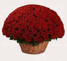 Премиум букет из: Розы в Кандалакше